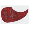 Image 1 : James Taylor (2) Signed Pickguards