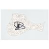 Image 1 : Dave Grohl Signed Pickguard