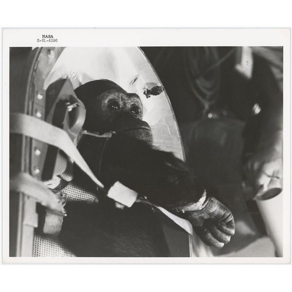 Enos the Chimp Original 'Type 1' Photograph