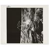 Image 2 : Apollo Program Original 'Type 1' Photographs (3)