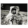 Image 1 : Alan Bean Signed Oversized Photograph