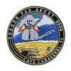 Image 1 : SpaceX: Crew Dragon Pad Abort Test Patch