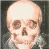 Image 2 : Ringo Daniel Funes, "Skull Beneath the Skin" One-of-a-Kind Hand Pulled Silkscree