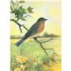 Image 1 : 1920's Bluebird Color Lithograph Print