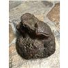 Image 5 : Antique Tree Root Carving, Alligator, Crocodile