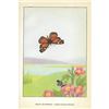 Image 2 : 1920's Snout Butterfly Color Lithograph Print