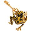Image 2 : Frog Playing Guitar Trinket Jewel Box