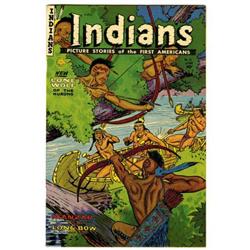 Indians #12 Mile High pedigree (Fiction House,