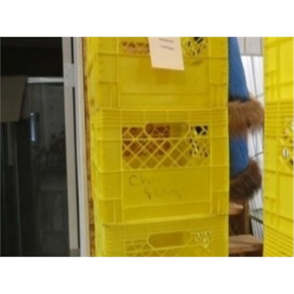 7 - MILK CRATES (ALL FOR ONE MONEY)