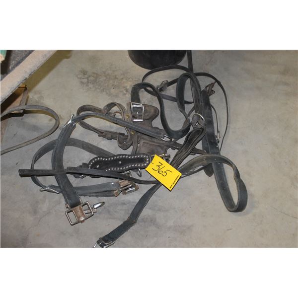 BRIDEL, MISC HARNESS