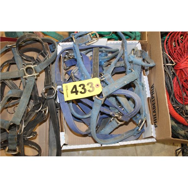 5 BOXES HORSE HALTERS & ROPES