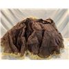 Image 1 : Brown and Gold Crinoline