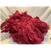 Image 1 : Burgundy Crinoline
