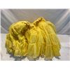 Image 1 : Yellow Crinoline
