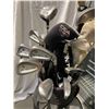 Image 2 : Golf Clubs and bag