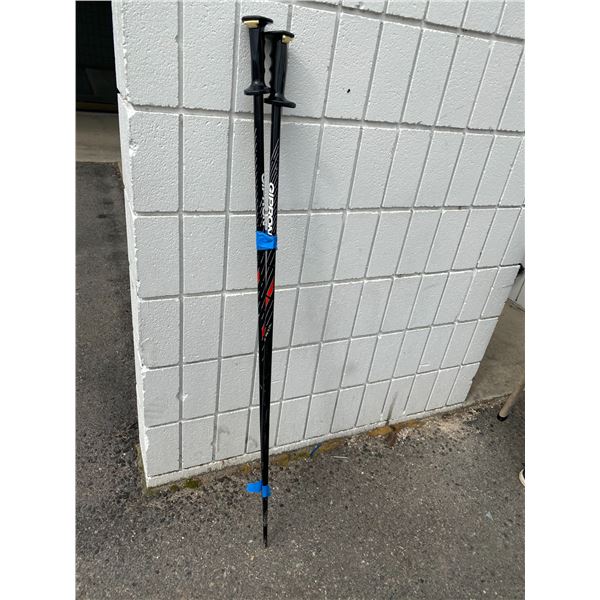 gipron walking sticks