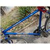 Image 2 : Free Spirit Explorer 111 bike