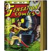 Image 1 : Sensation Comics #13-24 File Copy Bound Volume