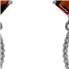 Image 1 : Genuine 3.5 ctw Garnet Earrings 14KT White Gold - REF-33Y8F
