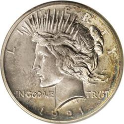 1921 $1 Matte PR63 NGC