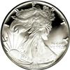Image 1 : 1995-W S$1 Silver Eagle PR69 Deep Cameo PCGS. A richly