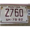 Image 3 : 76-79 Snowmobile License Plates