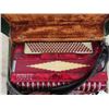 Image 3 : Titano Accordion & Case