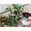 Image 2 : Artificial Plants, Wreaths, Accessories Plus!
