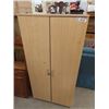 Image 1 : 2 D Storage Cabinet 60" x 30" x 15"