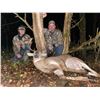 Image 1 : Missouri Whitetail Hunt - Safari Unlimited