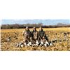 Image 4 : North Dakota Duck Hunt - Safari Unlimited