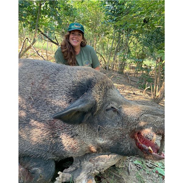 Serbian Roe Deer Hunt - Safari Unlimited