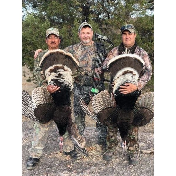 Mexican Gould's Turkey Hunt - Safari Unlimited