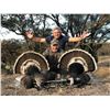 Image 2 : Mexican Gould's Turkey Hunt - Safari Unlimited