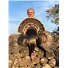 Image 3 : Mexican Gould's Turkey Hunt - Safari Unlimited