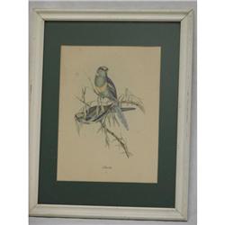 J. Gould Framed Print