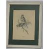 Image 1 : J. Gould Framed Print