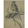 Image 2 : J. Gould Framed Print