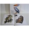 Image 4 : Audubon Birds of America First Edition