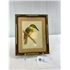 Image 1 : Very Good Water Colour Of King Fisher, 1920's