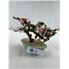 Image 2 : Very Nice Chinese Jade Tree