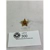 Image 1 : South African Defence Force Rank Pip