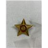Image 2 : South African Defence Force Rank Pip
