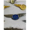 Image 3 : Vintage Airline Junior Pilot and Stewardess Pins Badges