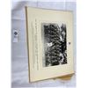 Image 2 : 1940+1941 ww2 Photographs saskatoon light infantry 18x13