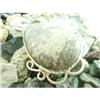 Big Coffee Stone Sterling Silver Pendant #1677314