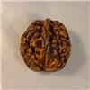 Image 1 : Oriental Carved Walnut Shell. #1677676