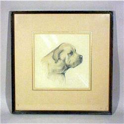 Antique Dog Drawing Sketch Framed  #1708219