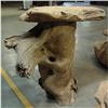 Image 1 : RARE PRIMITIVE TEAK ROOT RUSTIC BAR TABLE #1708384