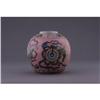 Image 1 : Qing Famille Rose Jar with 8 Auspicious Symbols#1721946